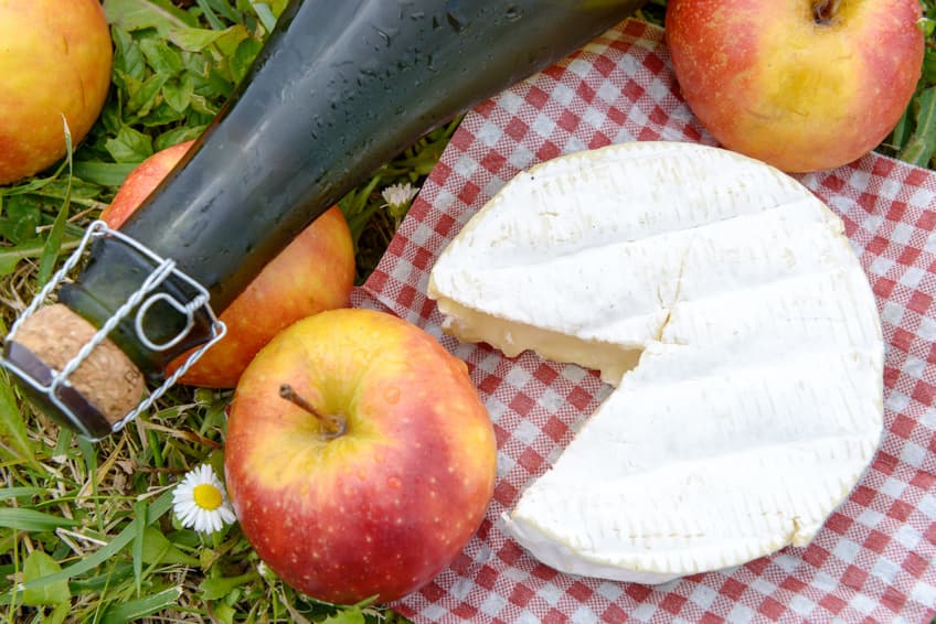 Camembert, rote Äpfel und Cidre-Flasche auf kariertem Tuch im Gras